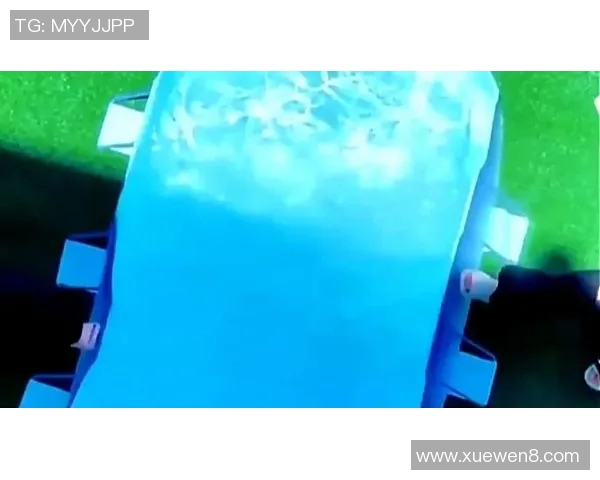 打造完美夏日泳池体验必备的精选泳池用品推荐与使用技巧