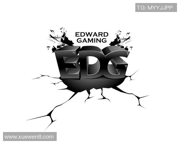 CSGO盛宴：深入解析EDG战队的比赛策略与经验分享